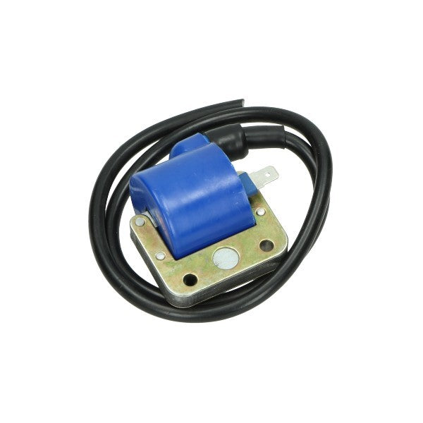 Bobine Piaggio Origineel Past Op Maxi Nt Bromfiets Vespa 244114