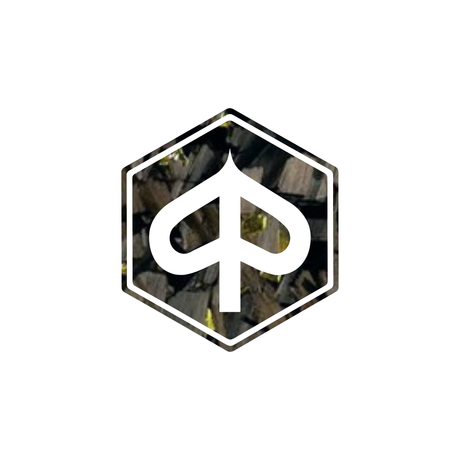 3d pré-chap logo piaggio carbone forgé
