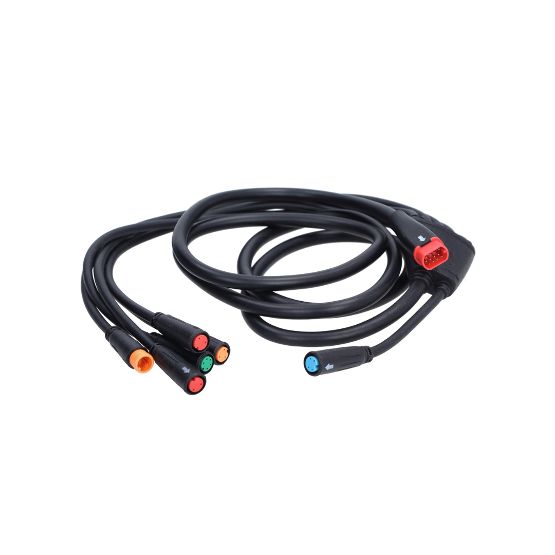 Faisceau de câblage complet V20 Pro Fatbike