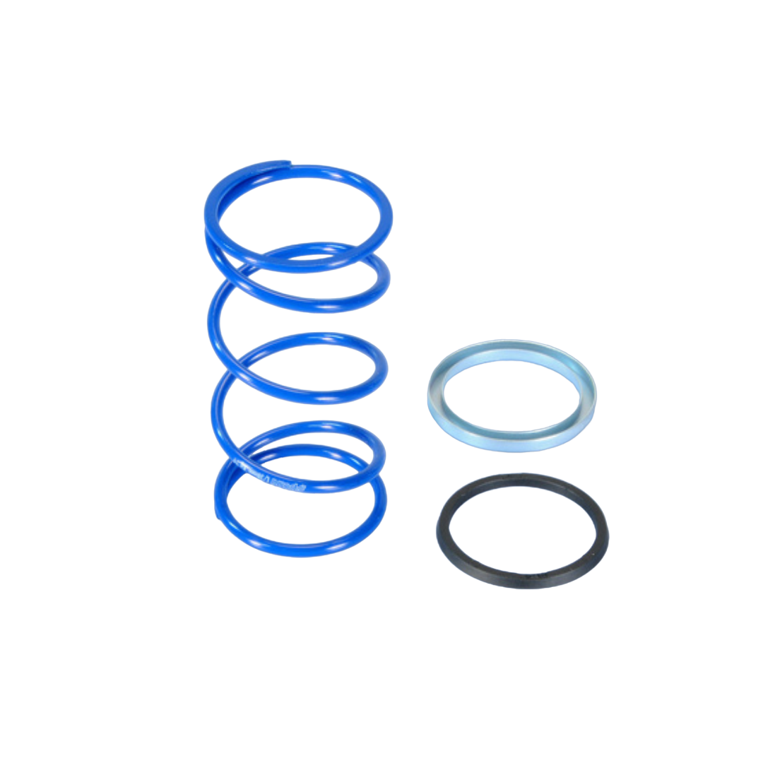Drukveer + 87% Minarelli Polini Evo Slider 3.8