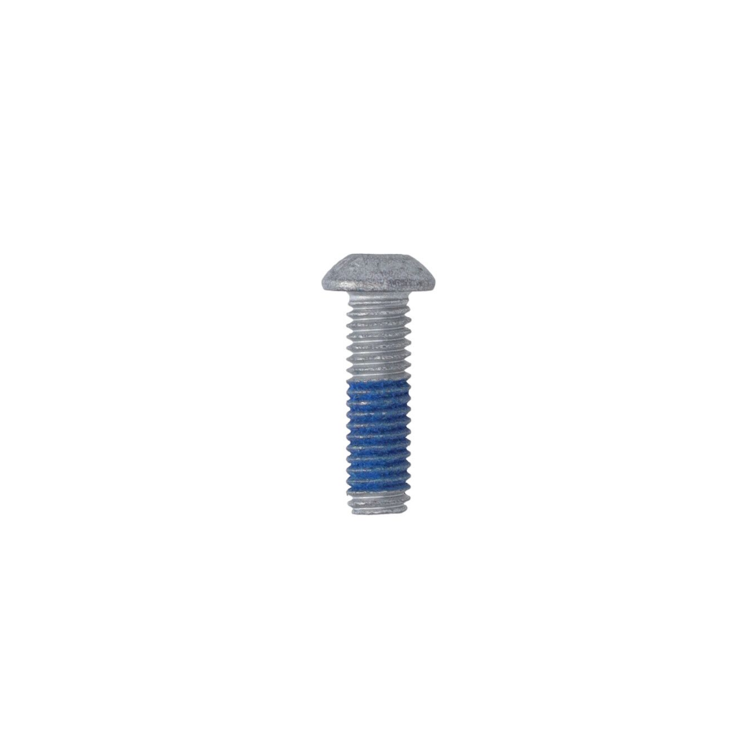 Boutset Remschijf M6x20mm 6pcs