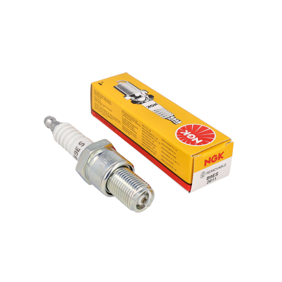Sparkling NGK B9ES