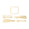 Set d'autocollants Waves Piaggio / Gilera Typhoon
