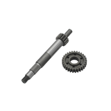 Ingranaggio Primario HT 14/29 Doppio Cuscinetto Piaggio / Gilera 125-180cc 2 Tempi
