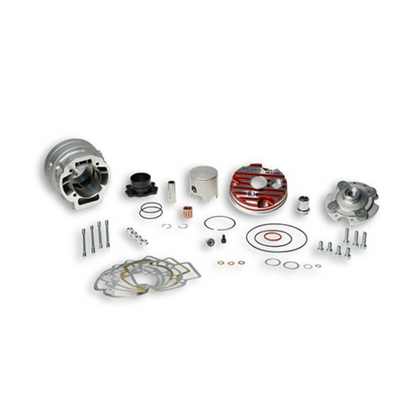 Malossi Testa Rossa 70Cc Cilinderkit Piaggio Zip Lc Cilinder