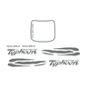 Set d'autocollants Waves Piaggio / Gilera Typhoon