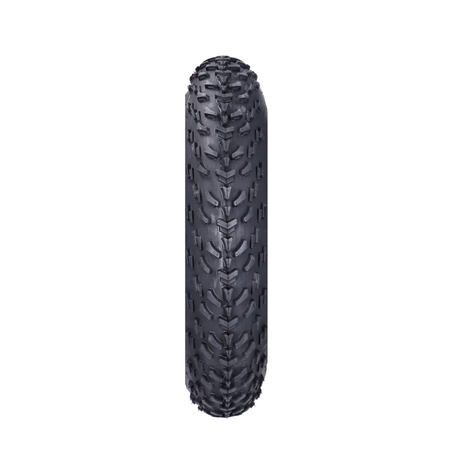 Buitenband Inova 16x4.0 Fatbike V20 Mini