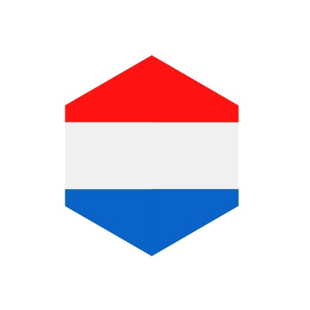 3D Voorkaplogo/Sticker Nederlandse Vlag Piaggio Zip