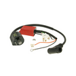 Cdi + Ignition Coil Top Performances Piaggio 2 Stroke