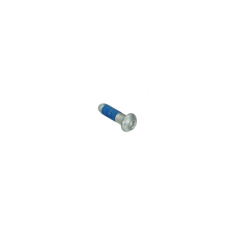 Bout Remschijf M6X20Mm Piaggio Origineel Remschijf Bout