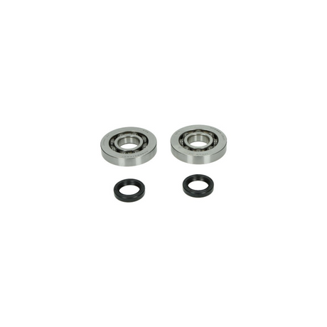 Krukaslagers Met Keerringset 125-180Cc 2T Runner/Skipper/Typhoon Rms Krukas Lager