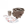 Cilinder 50cc Piaggio Zip SP / Gilera Runner 50cc 2 Takt Origineel Watergekoeld