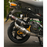 PM59 Performance Auspuff Piaggio / Gilera 125-180cc 2 Strich