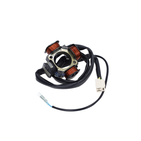 Allumage Polini Race Piaggio / Gilera 125-180cc 2 Temps Refroidi par Eau