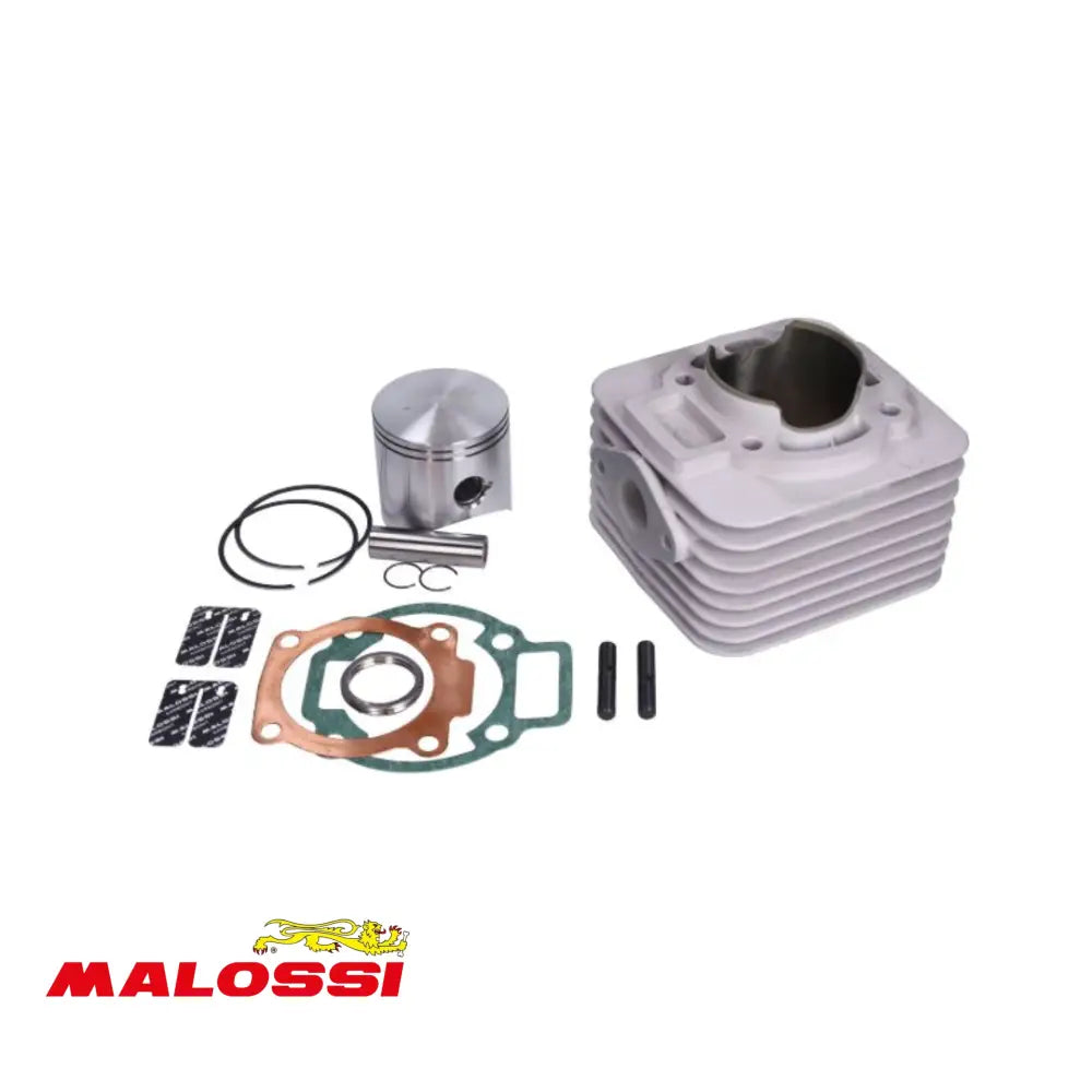 Malossi Cilinder 172Cc Ac Piaggio / Gilera 2T - Zonder Kop 172