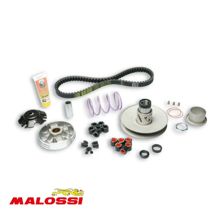 Malossi Overrange Systeem Gilera/Piaggio Lang Carter Set