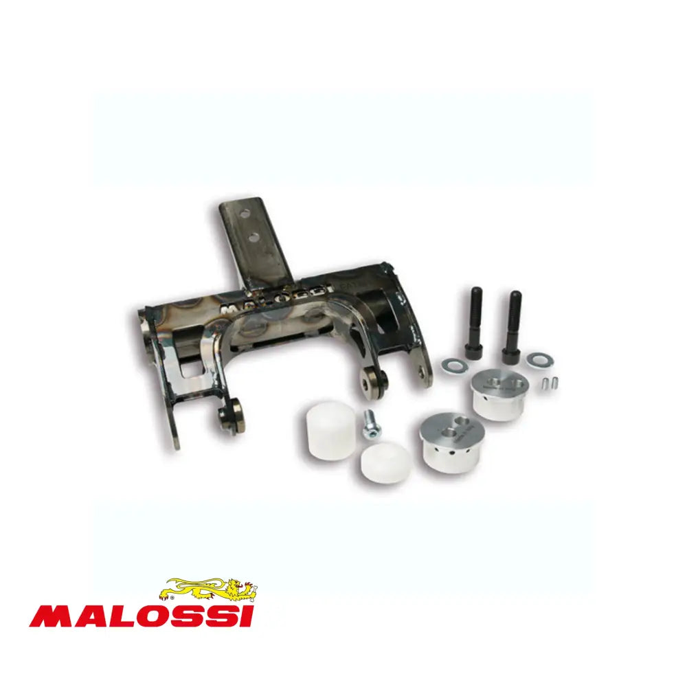 Motorophanging Malossi Piaggio Zip