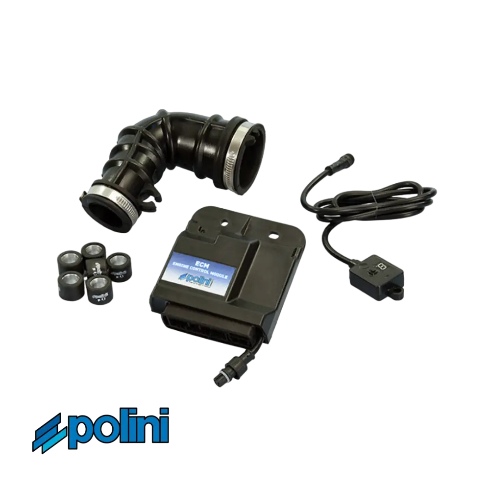 Polini Ecu Euro 4 Regelbaar Piaggio Takt